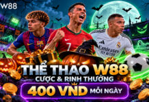 CHÁY CÙNG THỂ THAO W88 – CƯỢC & RINH THƯỞNG 400 VND MỖI NGÀY