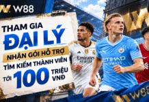 ĐĂNG KÝ ĐẠI LÝ – HỖ TRỢ TỚI 100 TRIỆU VND