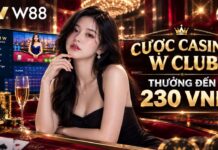 CƯỢC HĂNG SAY – NHẬN THÊM 230 VND TẠI CASINO CLUB W